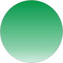 noam _psn profile picture